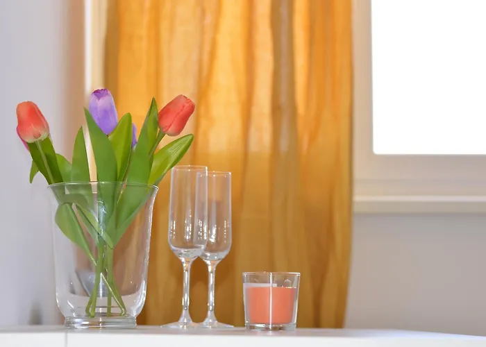 Nora 3* Ζαντάρ