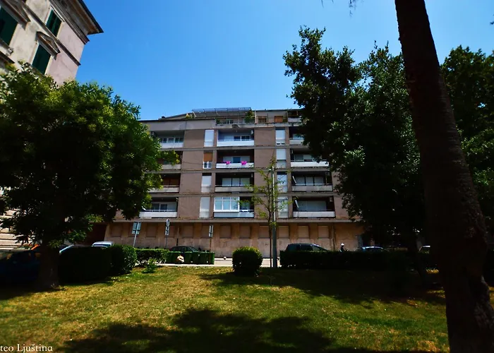 Nora 3* Ζαντάρ