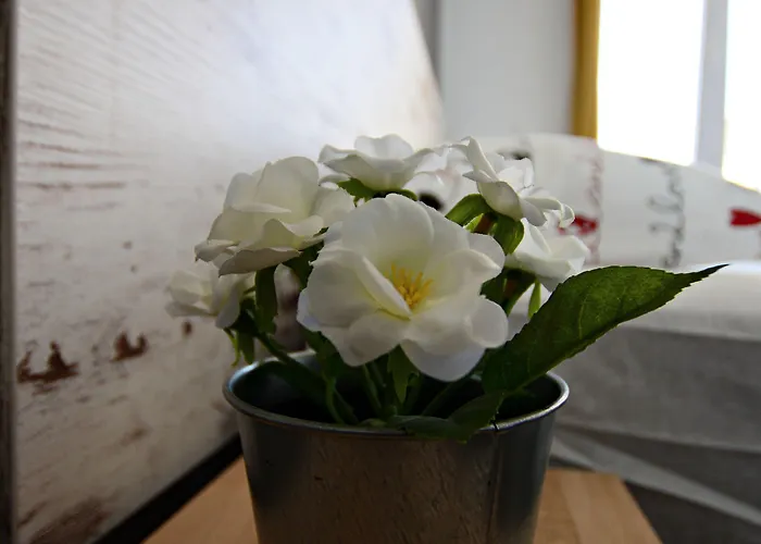 Nora Πανσιόν Ζαντάρ